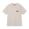 Stussy Stusica color beauty pattern casual short sleeved T-shirt for spring, new for both men and women