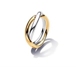 Pandora ESSENSE Natural Twin Ring with Interlocking Circle Design